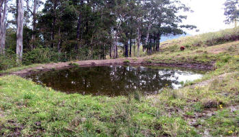 This dam for stock use was examined for possible Yowie feet